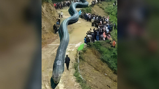 Hace un fotomontaje culpando a un “dragón gigante” por un terremoto en China. Lo arrestan